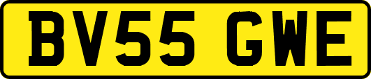 BV55GWE