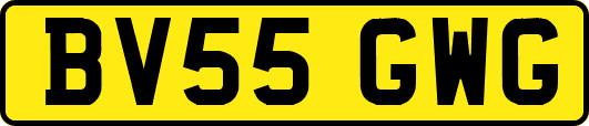 BV55GWG