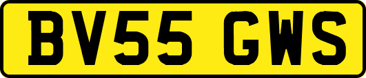 BV55GWS
