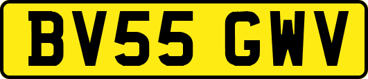 BV55GWV