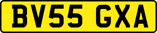 BV55GXA
