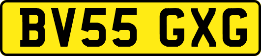 BV55GXG