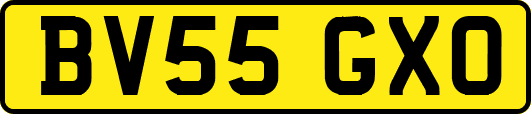 BV55GXO