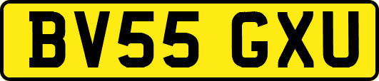 BV55GXU