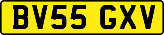BV55GXV