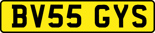 BV55GYS