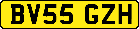 BV55GZH