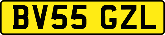 BV55GZL