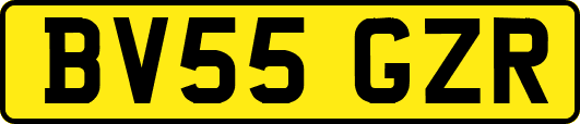 BV55GZR