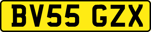 BV55GZX