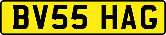 BV55HAG