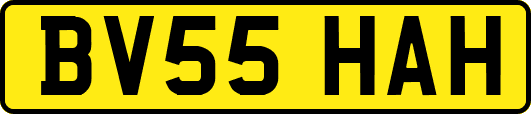 BV55HAH