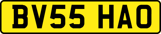 BV55HAO