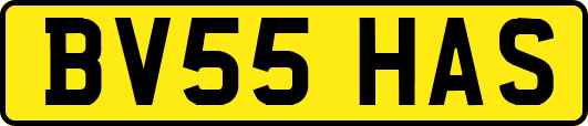 BV55HAS