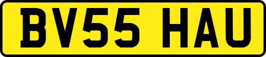 BV55HAU