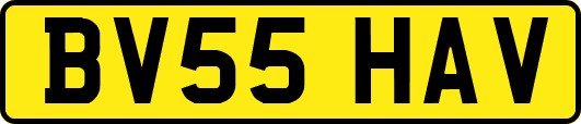 BV55HAV