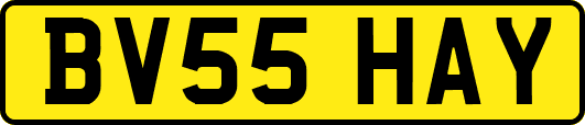 BV55HAY