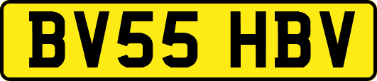 BV55HBV