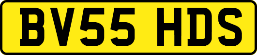 BV55HDS