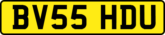 BV55HDU