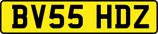 BV55HDZ