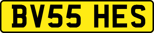 BV55HES