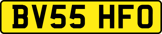 BV55HFO