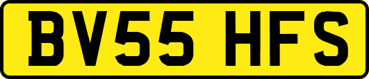 BV55HFS