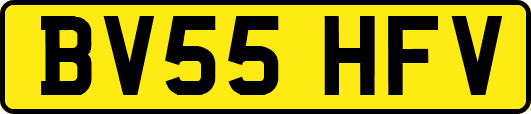 BV55HFV