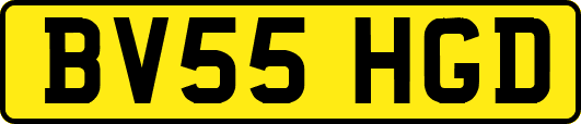 BV55HGD