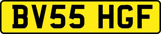 BV55HGF