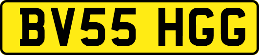 BV55HGG