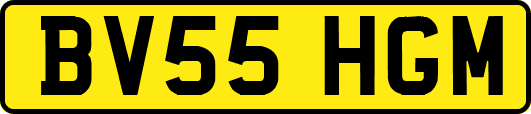 BV55HGM