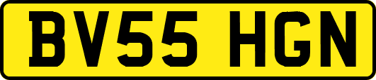 BV55HGN