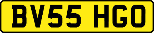 BV55HGO