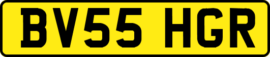 BV55HGR