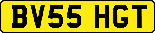 BV55HGT