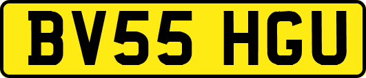 BV55HGU