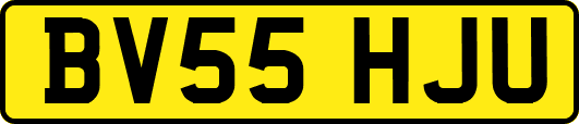 BV55HJU