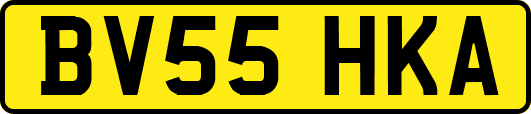 BV55HKA