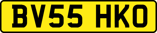 BV55HKO