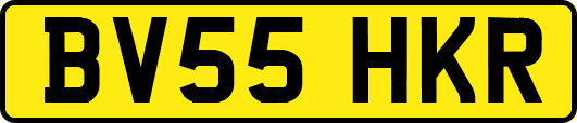 BV55HKR
