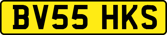BV55HKS