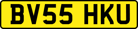 BV55HKU