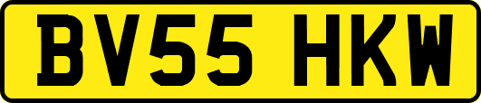BV55HKW