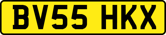 BV55HKX