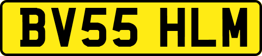 BV55HLM