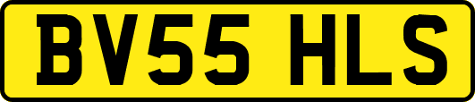 BV55HLS