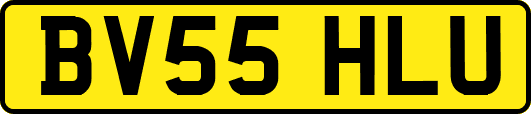 BV55HLU