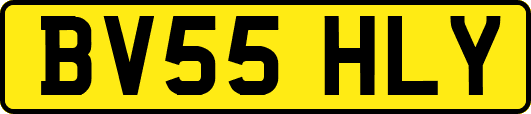 BV55HLY